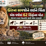 Girના સાવજોને લઈને ચિંતા: એક વર્ષમાં 62 સિંહોના મોત, Lion Health સામે મોટા સવાલો
