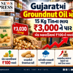 Gujaratમાં Groundnut Oil મોંઘું: 15 Kg Tinના ભાવ ₹3,000ને પાર, એક અઠવાડિયામાં ₹100નો વધારો