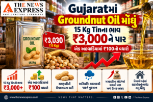 Gujaratમાં Groundnut Oil મોંઘું: 15 Kg Tinના ભાવ ₹3,000ને પાર, એક અઠવાડિયામાં ₹100નો વધારો